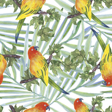 Backgroundless. Watercolor flowers, patterns, birds. Basis for design. Tropics, exotics