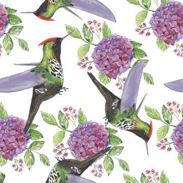 Backgroundless. Watercolor flowers, patterns, birds. Basis for design. Tropics, exotics