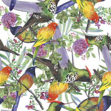 Backgroundless. Watercolor flowers, patterns, birds. Basis for design. Tropics, exotics