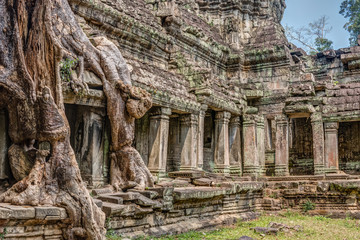 Fototapeta premium Cambodia Angkor Complex 360