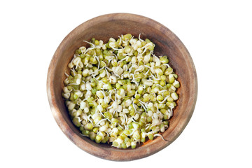 Germinated sprouts of mung beans