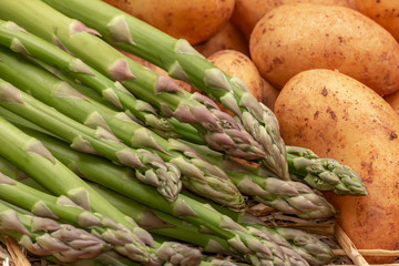 Fresh raw organic green asparagus and potatoes on straw background. Asparagus officinalis, Solanum tuberosum 