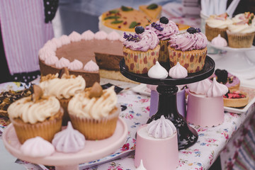 Delicious cupcakes with cream cheese frosting, candies and meringues