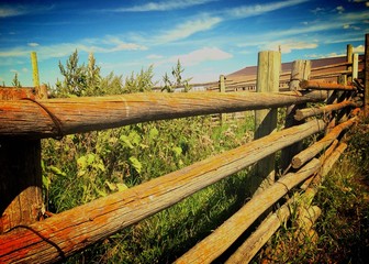 Vintage Fence