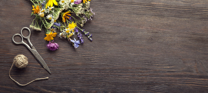 Wild flowers and scissors on old grunge wooden background (chamomile lupine dandelions thyme mint bells rape)