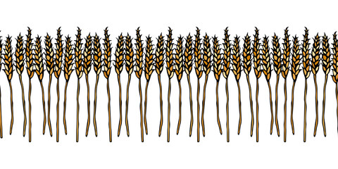 Ripe Wheat Spikelets Endless Brush. Border Ribbon of Malt with Space for Text. Farm Harvest Template. Realistic Hand Drawn Illustration. Savoyar Doodle Style.