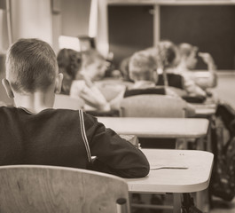 Children in class at school. Back view.