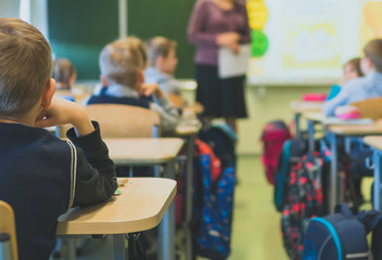 Children and teacher in class at school. Back view.