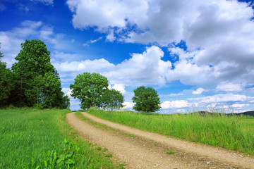 Fototapeta na wymiar Road with green field and blue sky .