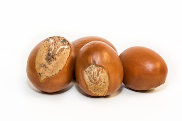 Shea nuts. Vitellaria paradoxa