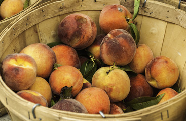 Puesto de frutas en Union Square