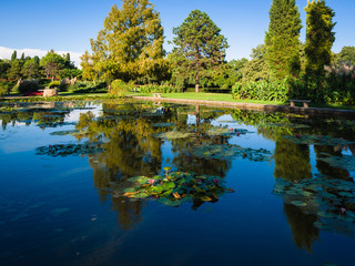 Large pond with water lilies in an italian public park.