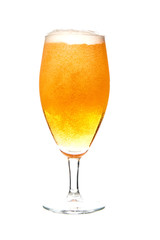 lager draft beer in a glass isolated on white background