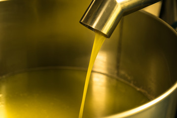 Processing of olive oil in a modern farm.
