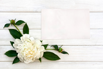 White peony with buds on background of white painted wooden planks and blank sheet with space for text. Top view, flat lay.