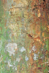 Grunge Texture Green Rusty Metal Background. Horizontal Image