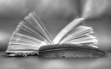 open book with pages