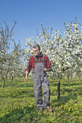Farmer analyzes flower cherry