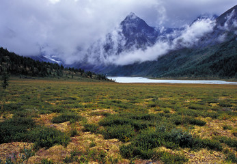 Mountain peak in clouds, moss covered ground. Ak-kem valley , Altai