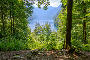 Königssee lake  view from forest pathway