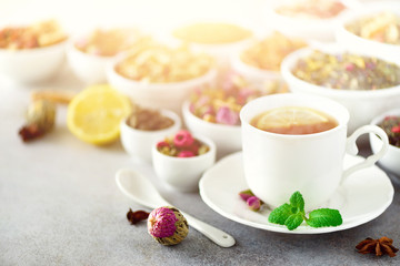 Tea concept with copy space. Different kinds of dry tea in white ceramic bowls and cup of aromatic tea on grey background.