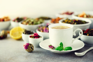 Tea concept with copy space. Different kinds of dry tea in white ceramic bowls and cup of aromatic tea on grey background.