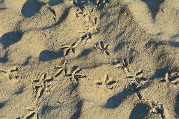 Pegadas na areia