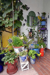 Blumenschmuck an einer Hauswand