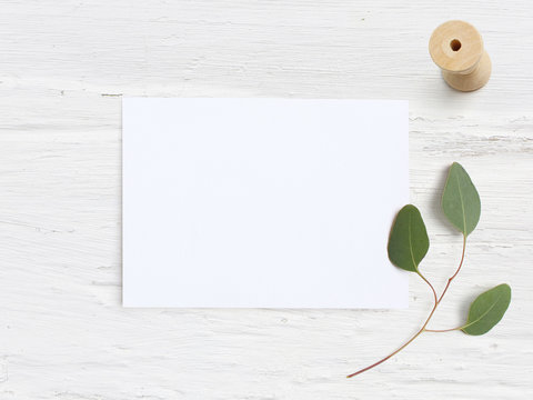 Feminine wedding desktop mock-up with blank paper card, wooden spool and Eucalyptus populus branch on white shabby table background. Empty space. Styled stock photo, web banner. Flat lay, top view.