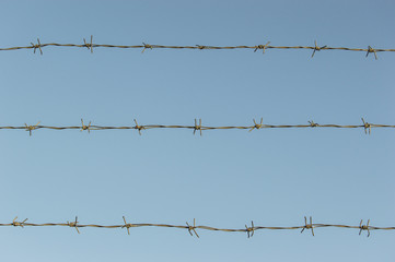 barbed wire on the sky background