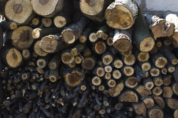 firewood stacked under the wall