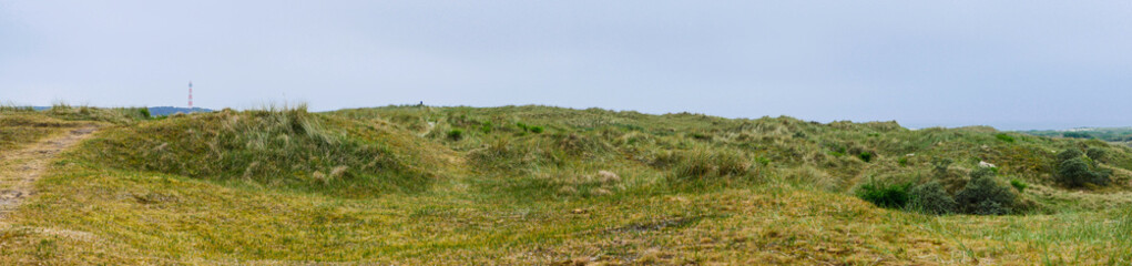 Fototapeta na wymiar View over the dunes of Ameland, Holland