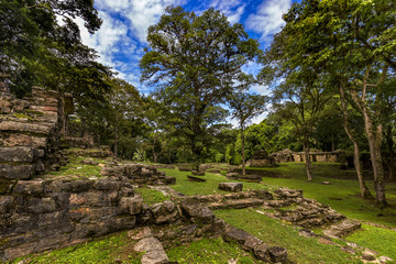 Fototapeta na wymiar Mexico. The Yaxchilan Archaeological Park, Mayan city hidden in the Lacandon Jungle. Structures of Central Acropolis