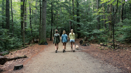 A family hiking in the woods.