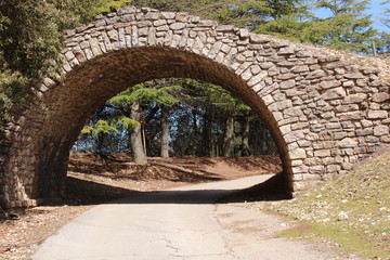 Arco de piedra, en medio del bosque