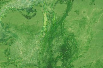 green watercolor painted background texture