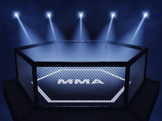 Photo sur Plexiglas Arts martiaux MMA cage lit by spotlights, Mixed martial arts fight night event