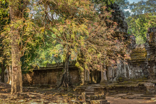 Cambodia Angkor Complex 360
