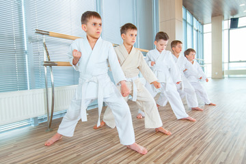Fototapeta na wymiar young, beautiful, successful multi ethical kids in karate position