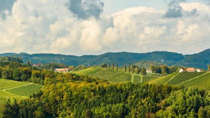 Austria Vineyards Leibnitz area south Styria travel spot