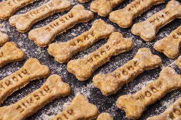 Homemade oatmeal dog treats with carrots