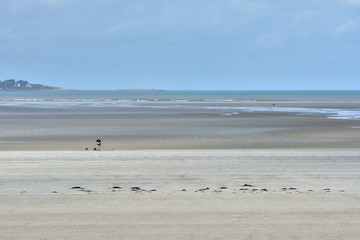 Fototapeta na wymiar Des gens se promènent sur la plage avec leurs chiens en Bretagne