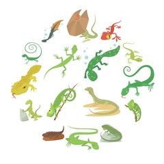 Lizard type animals icons set, cartoon style