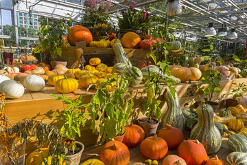 Autumn exhibition of fruits and vegetables.