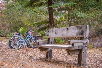 wooden bench and bikes at park 
