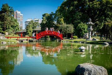 Fototapeta na wymiar jardin japones 