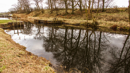 Picturesque rural image of trees reflected on the surface of a canal.