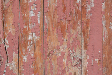 old wooden surface with cracks and peeling paint, pink texture, background