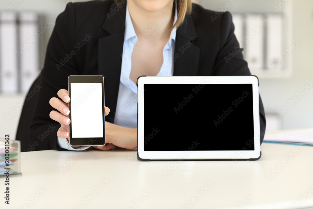 Canvas Prints businesswoman showing blank tablet and phone screens