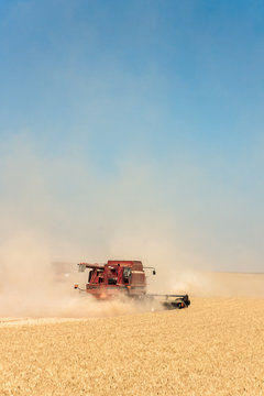 Dust in wheat field